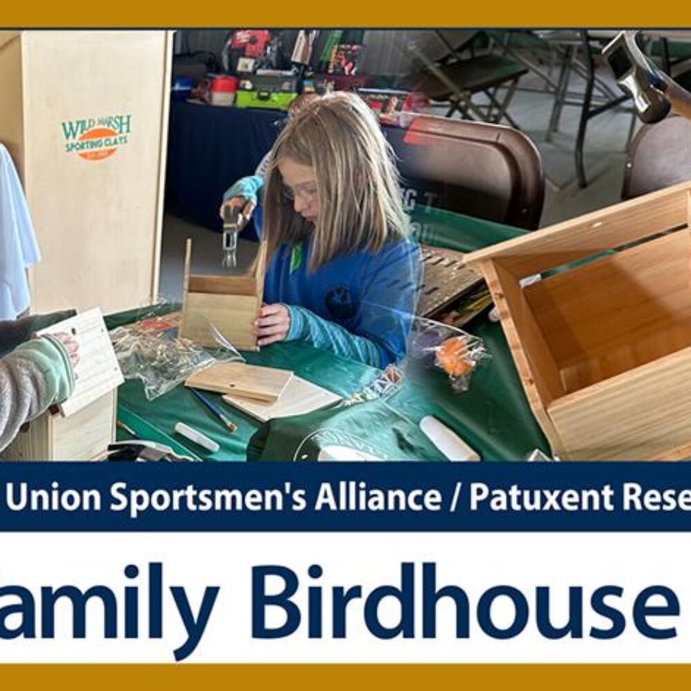 Family Birdhouse Build